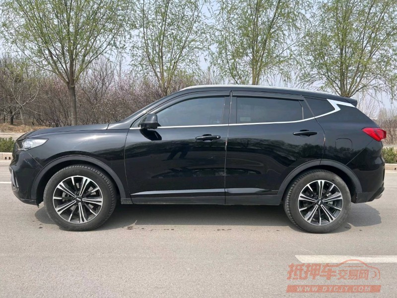 枣庄20年长城汽车WEY VV66