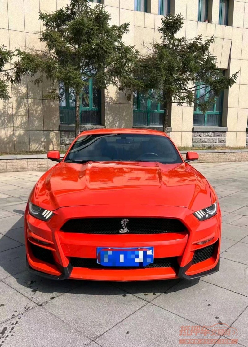 枣庄15年福特野马1