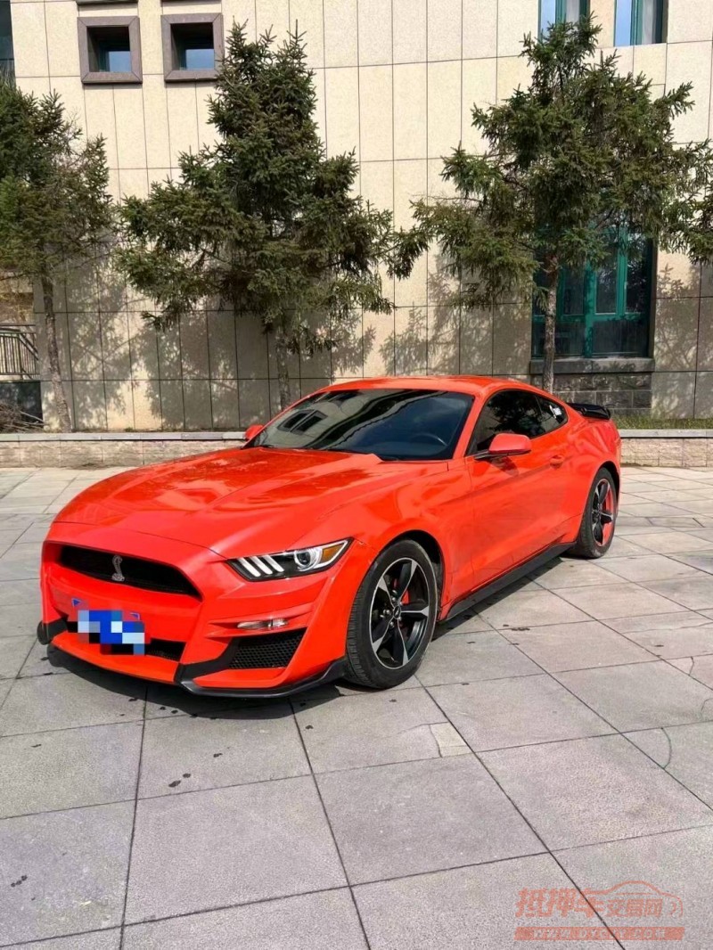 枣庄15年福特野马3