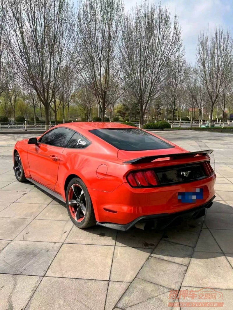 枣庄15年福特野马8