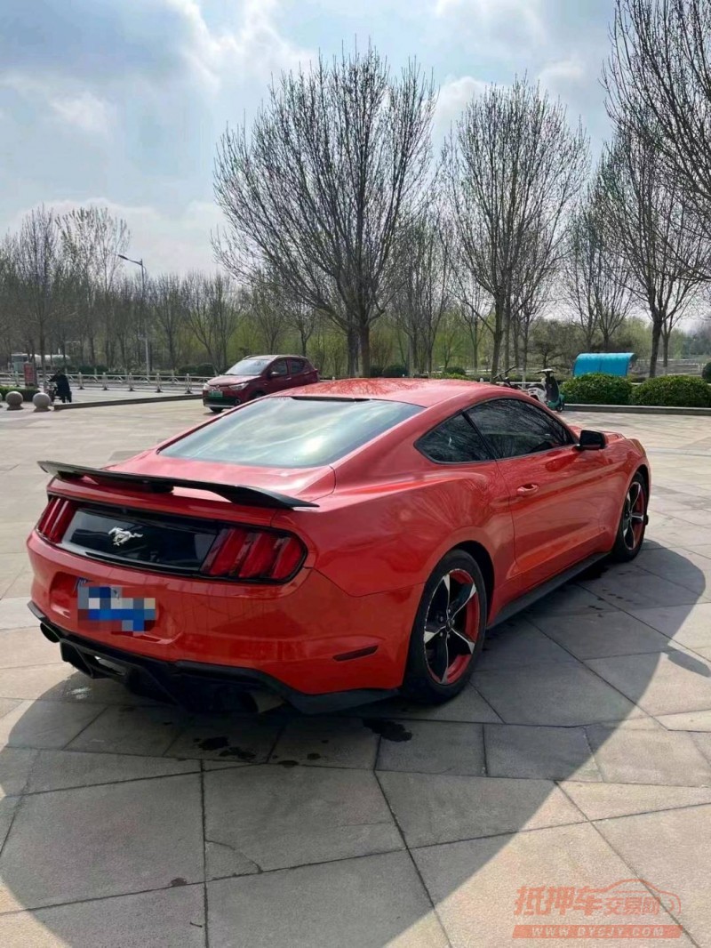 枣庄15年福特野马9