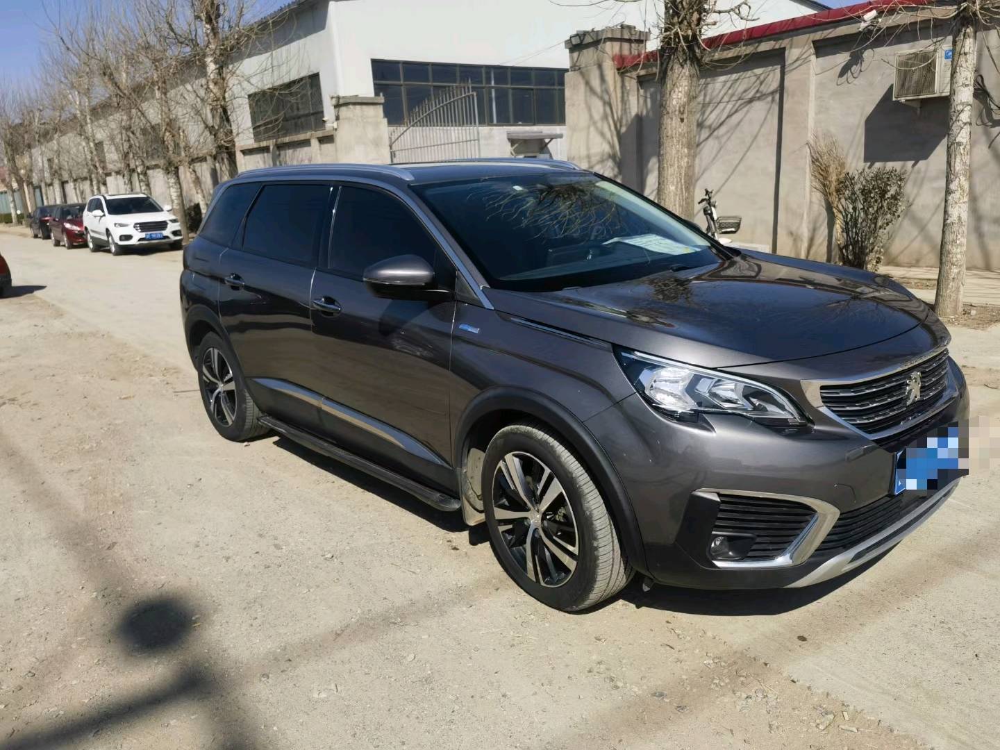 保定17年标致50086