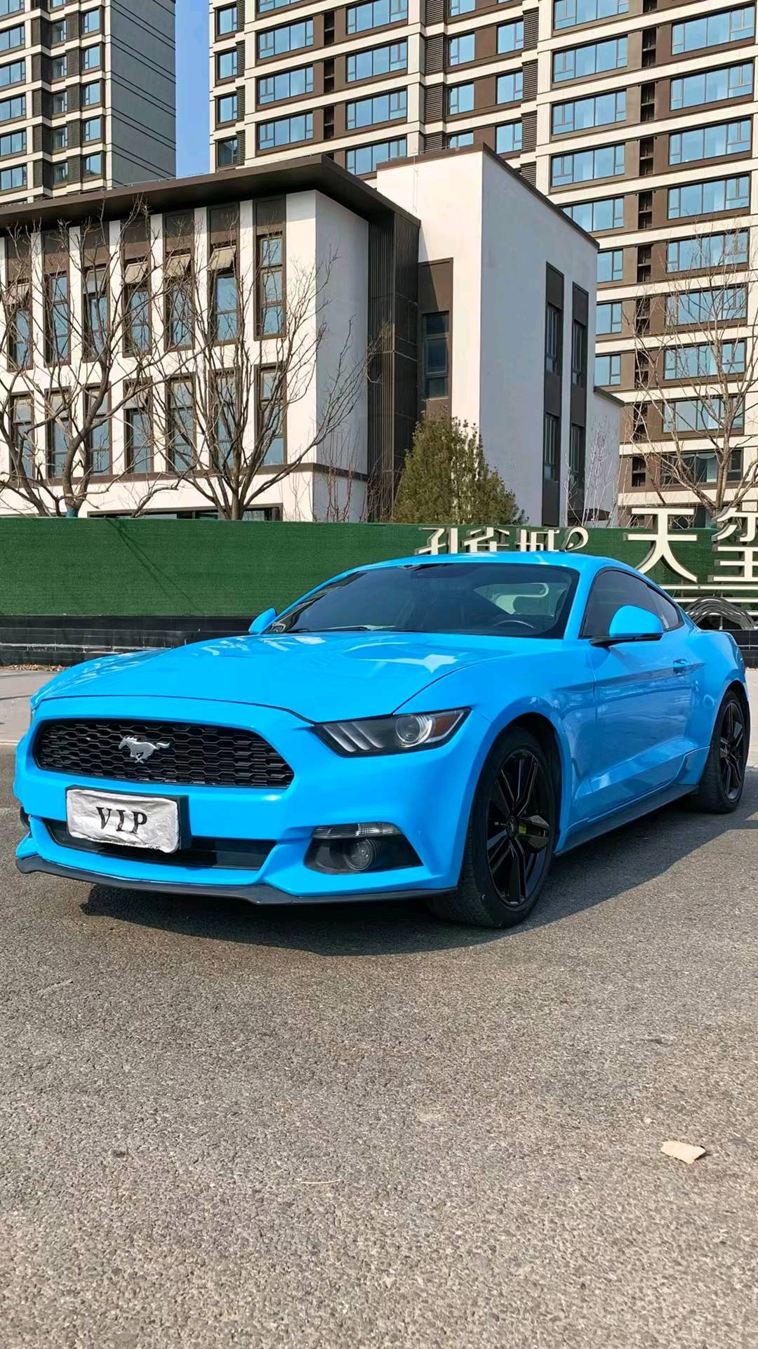 廊坊16年福特野马2