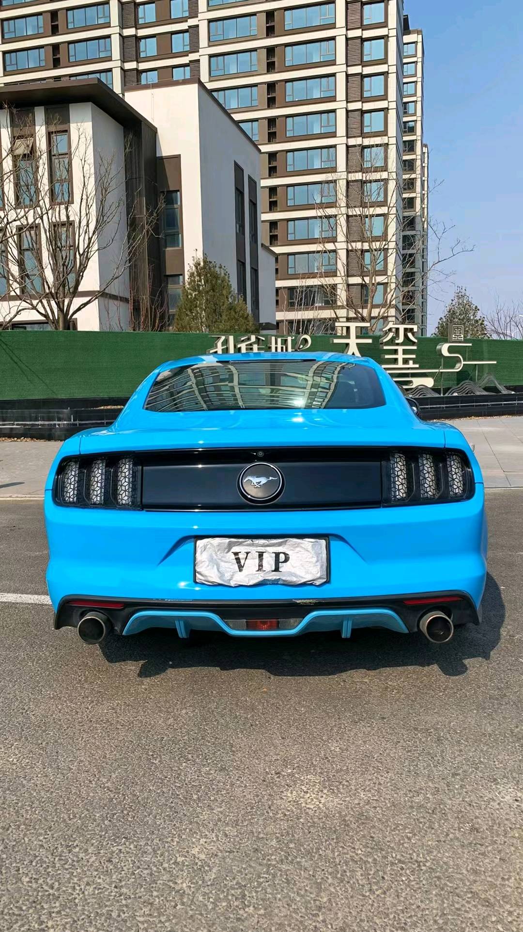 廊坊16年福特野马9