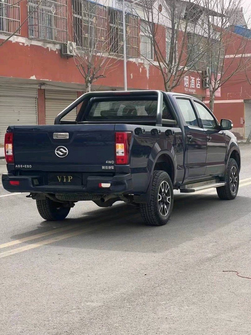 淮南21年黄海大柴神8