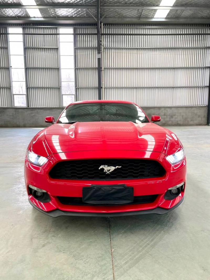 临沂18年福特野马1