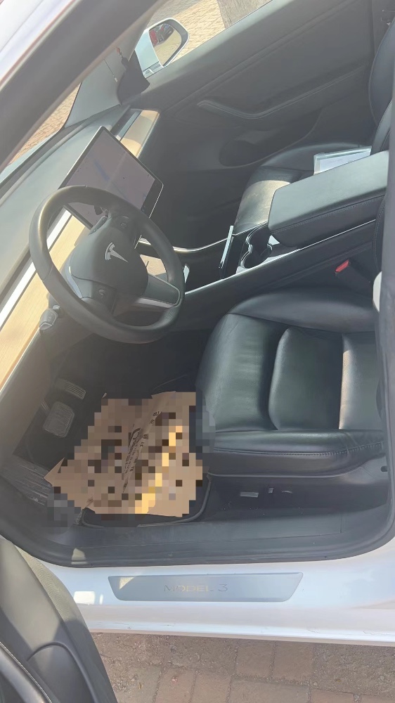 天津19年特斯拉MODEL 34