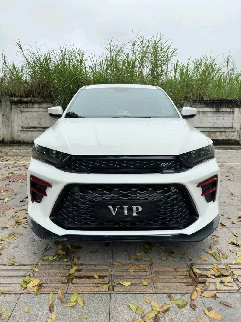 成都22年SWM斯威汽车G011