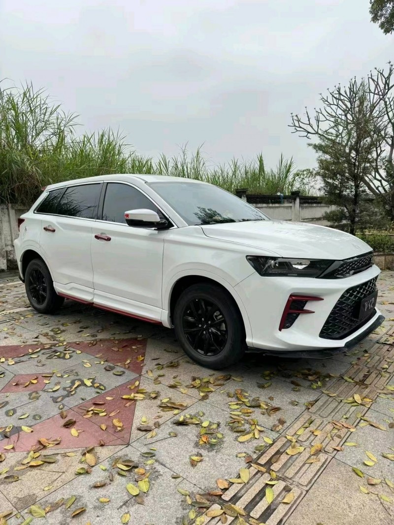 成都22年SWM斯威汽车G012