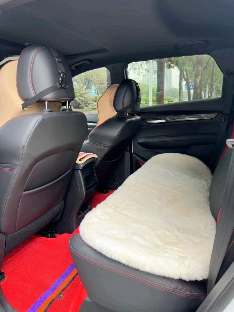 成都22年SWM斯威汽车G014