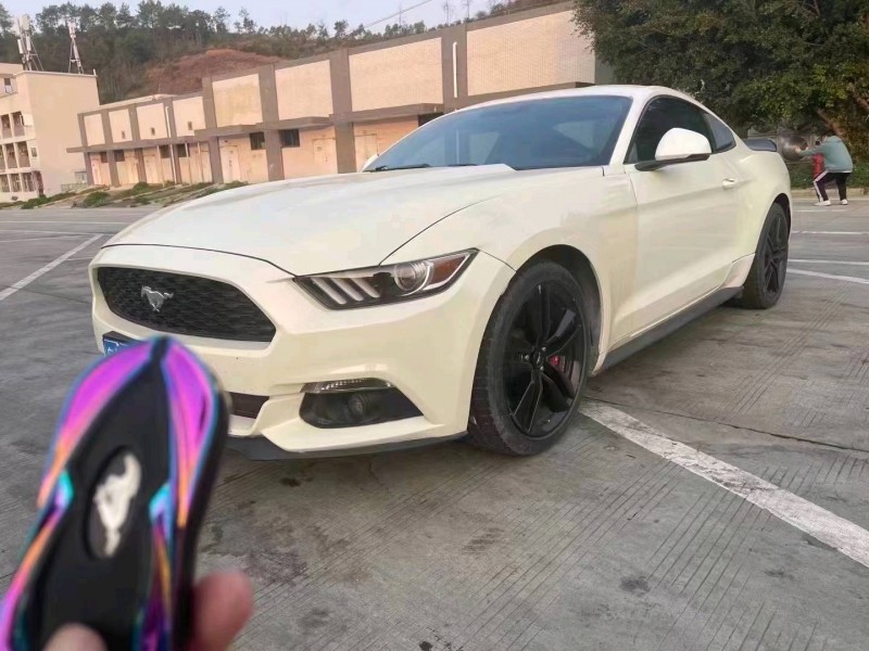 广州15年福特野马2