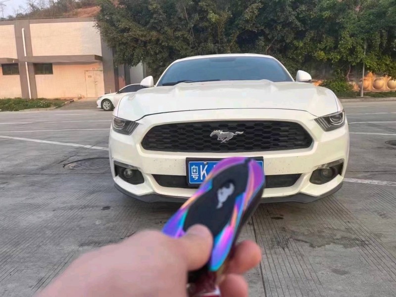 广州15年福特野马1