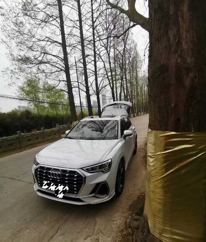 聊城19年奥迪Q32