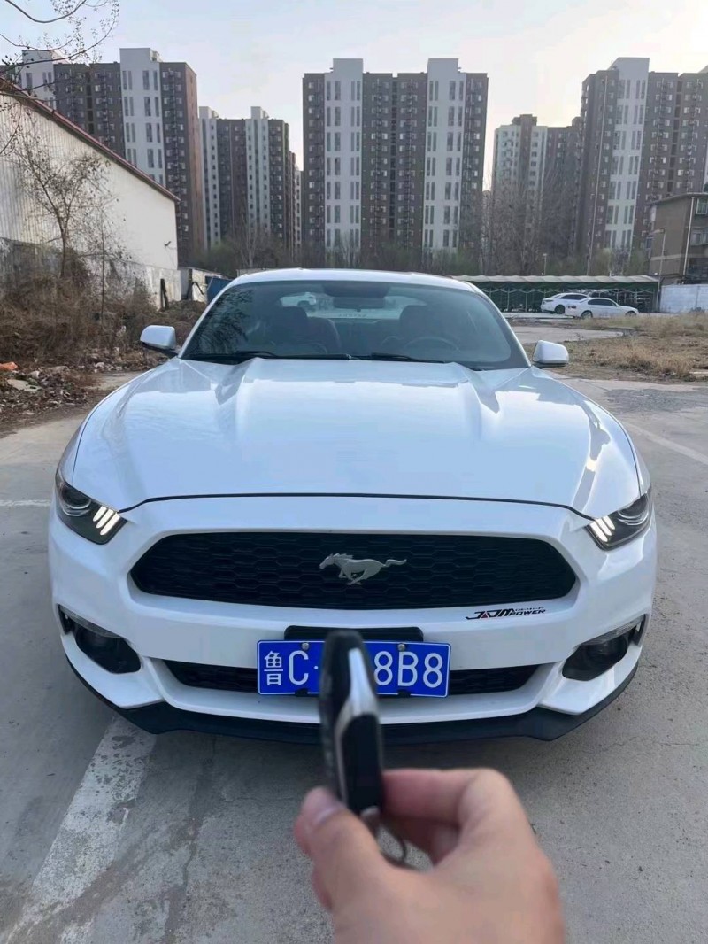 淄博17年福特野马1