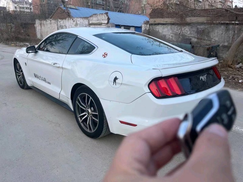 淄博17年福特野马8