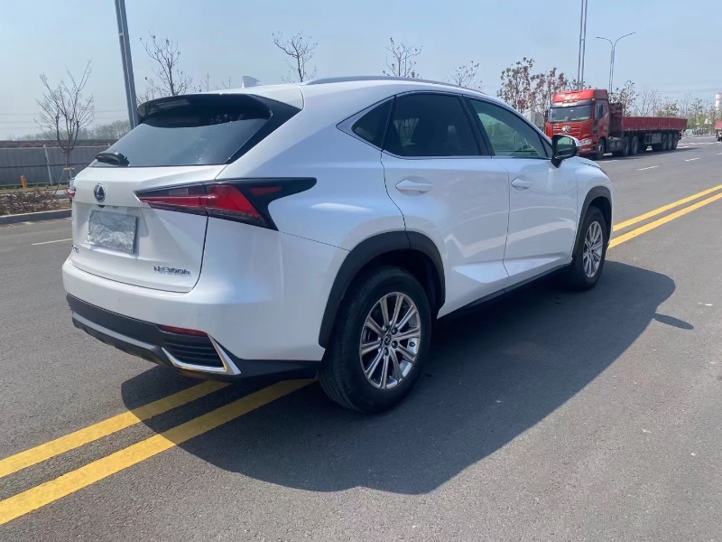 徐州20年雷克萨斯NX8