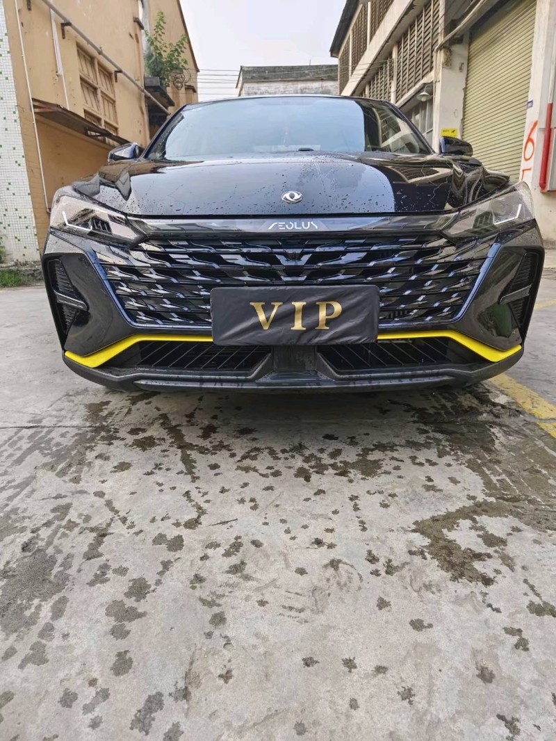 广州23年东风奕炫1