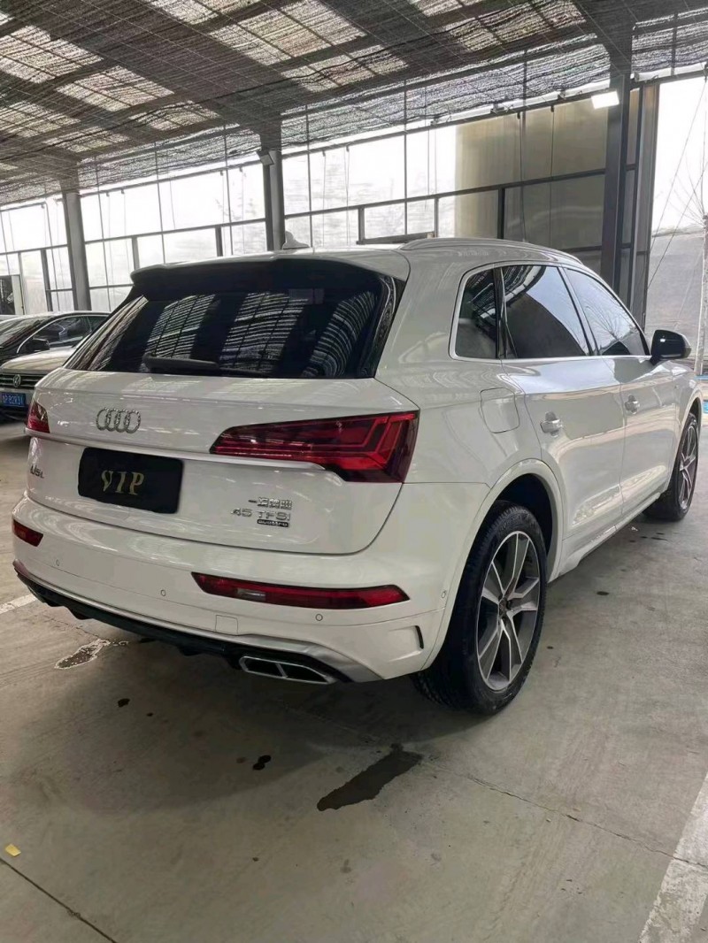 潍坊21年奥迪Q58