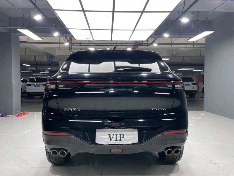 成都22年东风T59