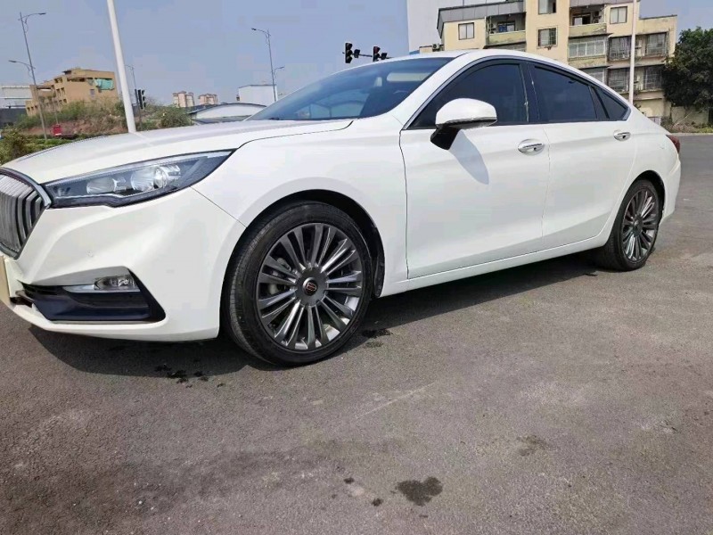 泸州20年红旗H53