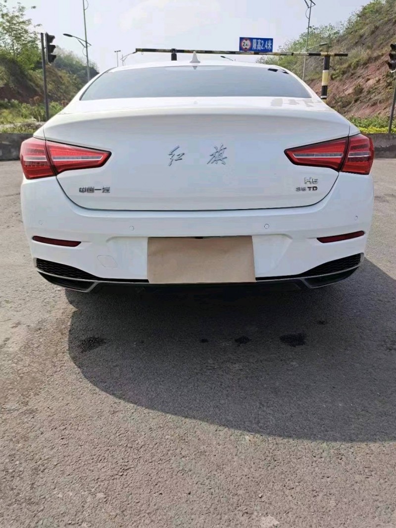 泸州20年红旗H54