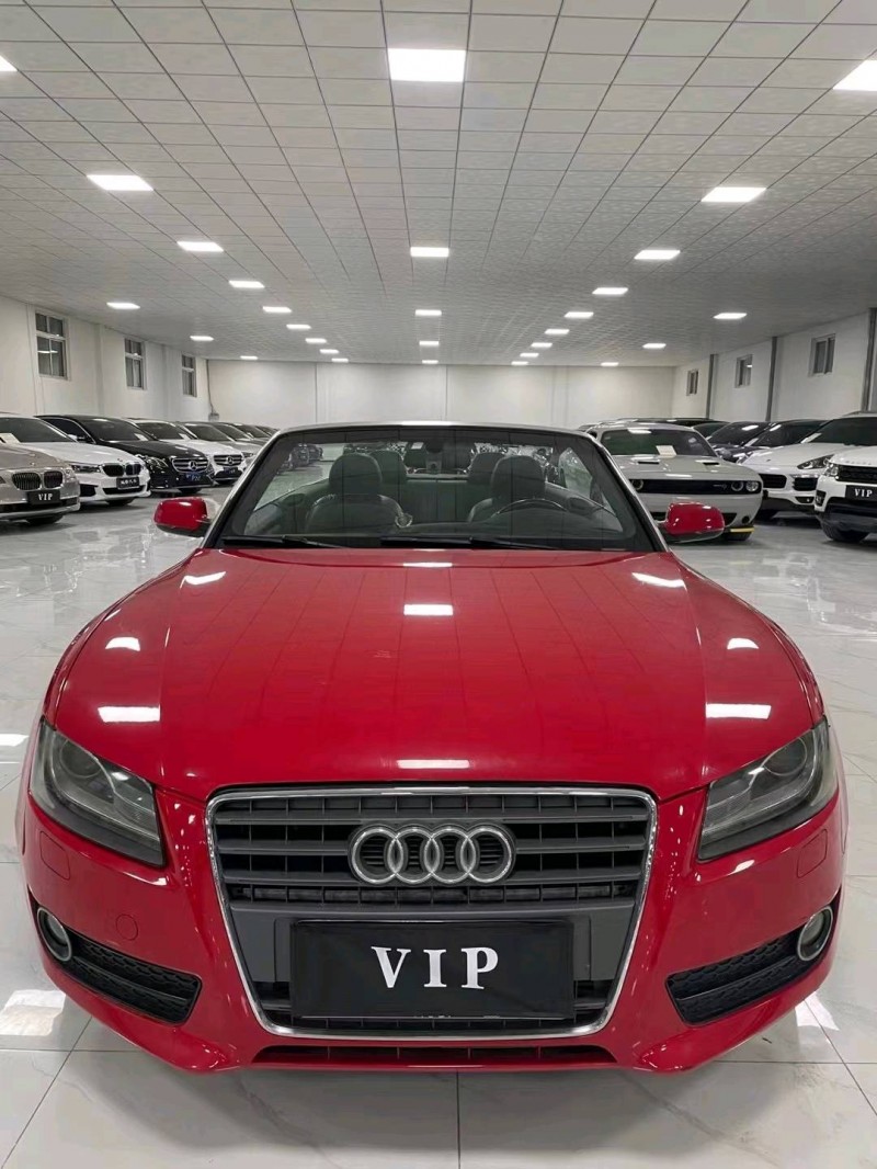 廊坊11年奥迪A51