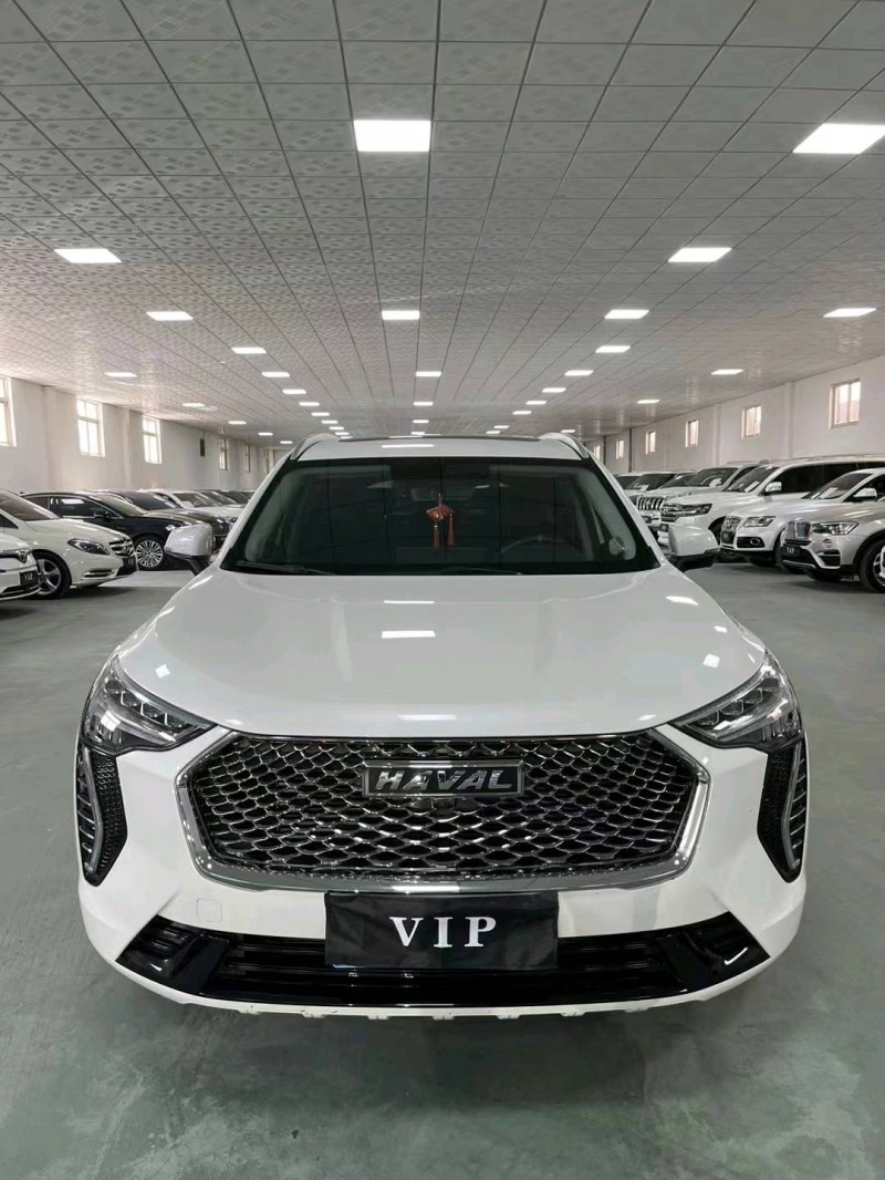 廊坊21年哈弗初恋1