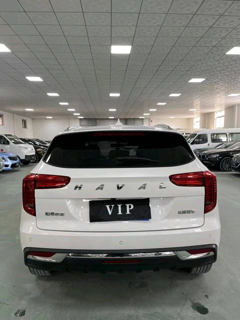 廊坊21年哈弗初恋9