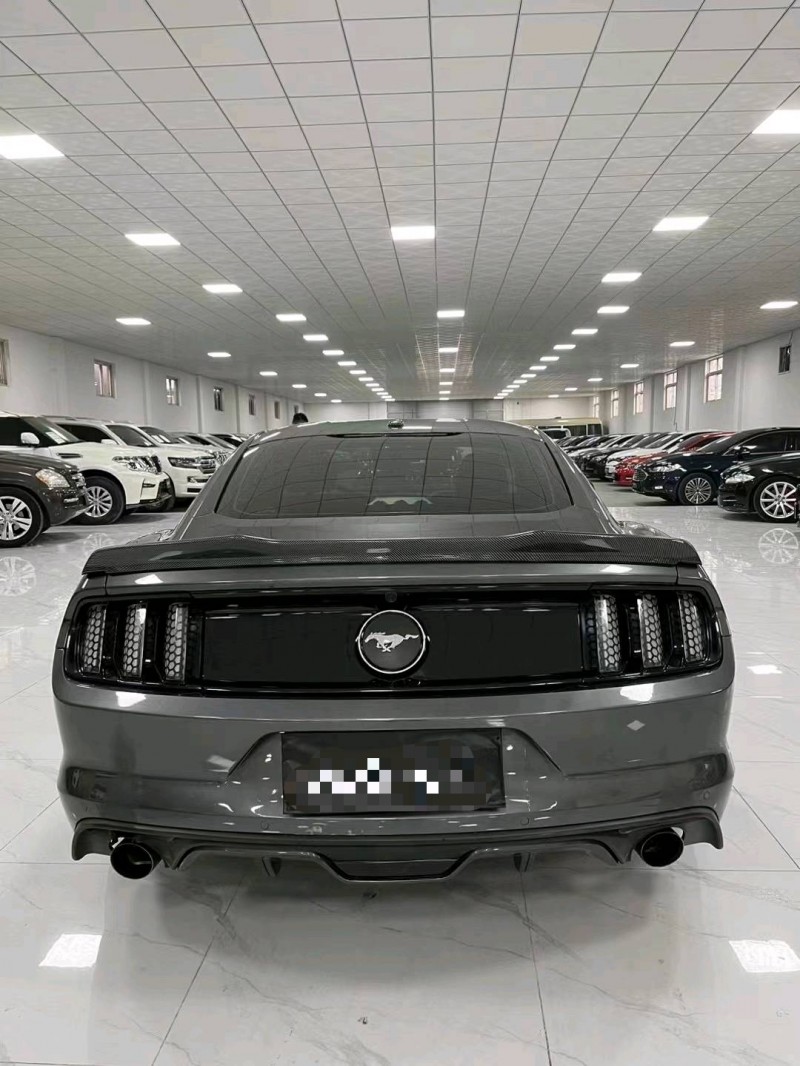 廊坊16年福特野马9