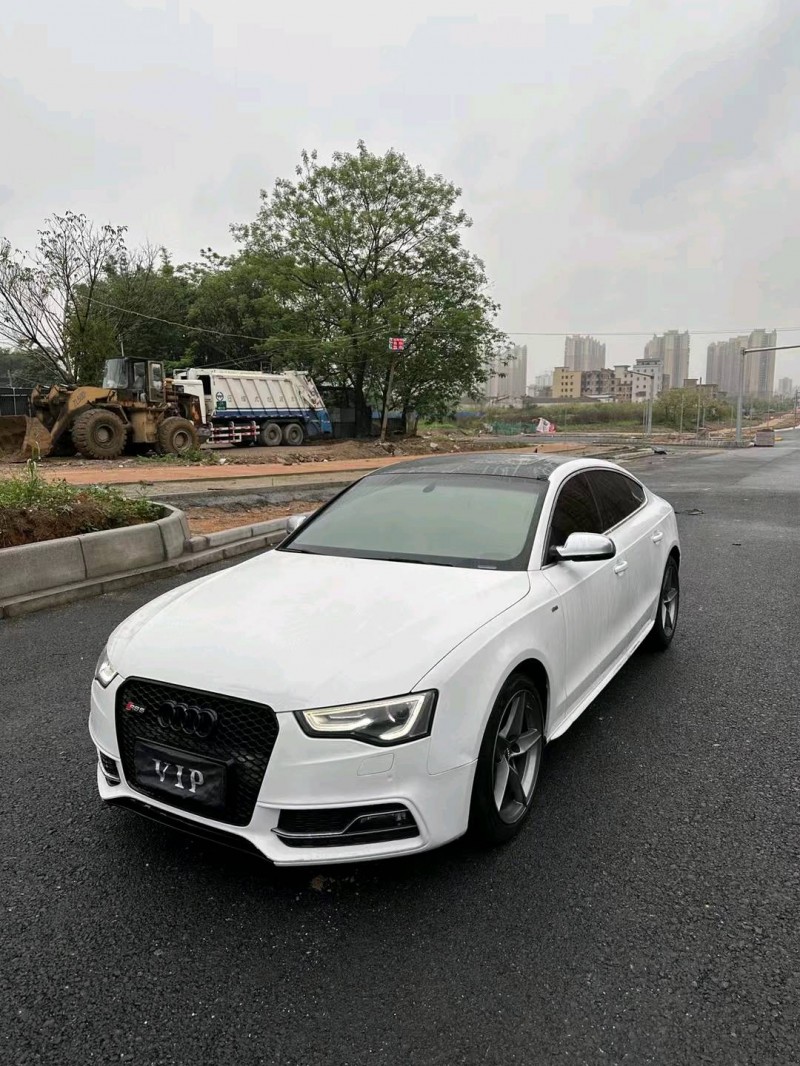 广州14年奥迪A53