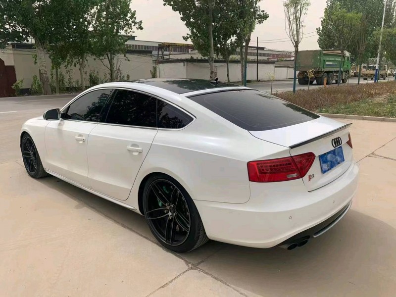 保定13年奥迪S58