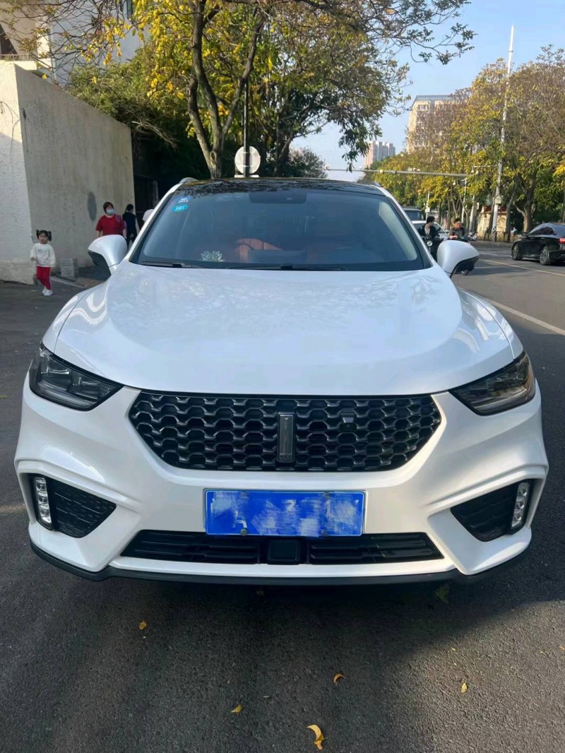 韶关20年长城汽车WEY VV51