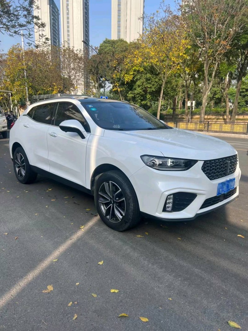 韶关20年长城汽车WEY VV52