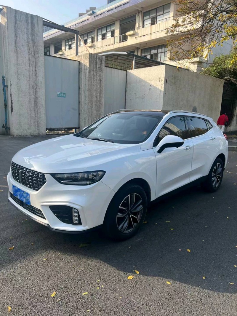韶关20年长城汽车WEY VV53