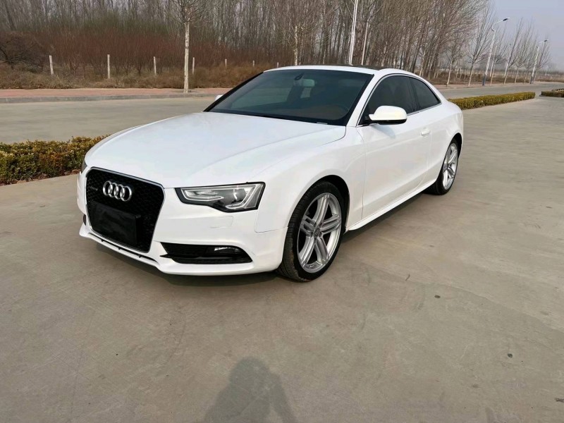 廊坊14年奥迪A52