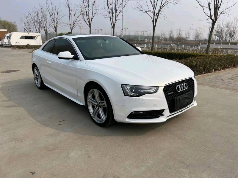 廊坊14年奥迪A53