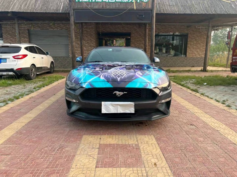 徐州19年福特野马1