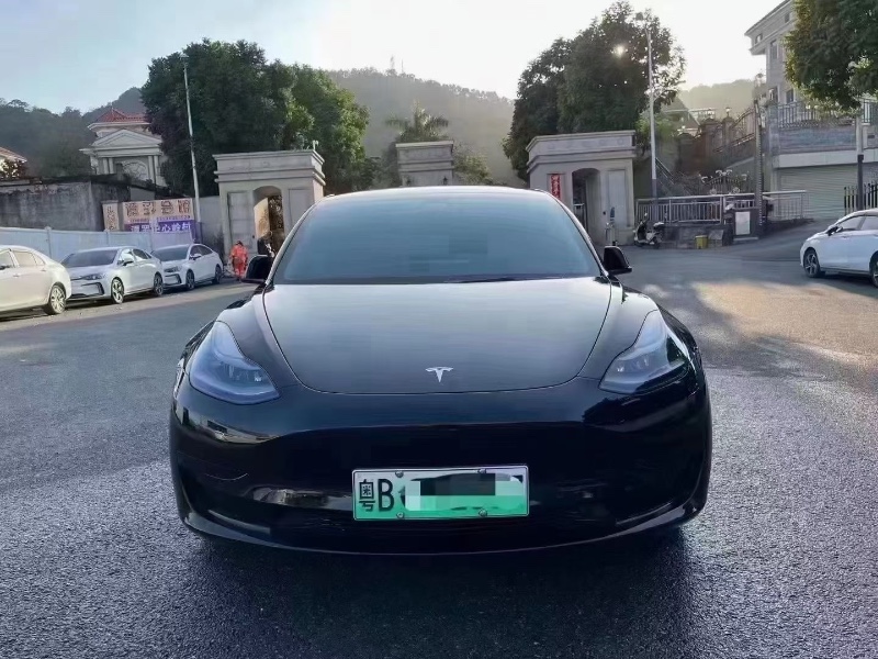 廣州21年特斯拉MODEL 31