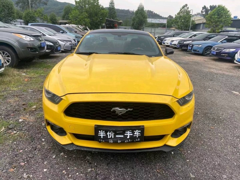 广州16年福特野马1