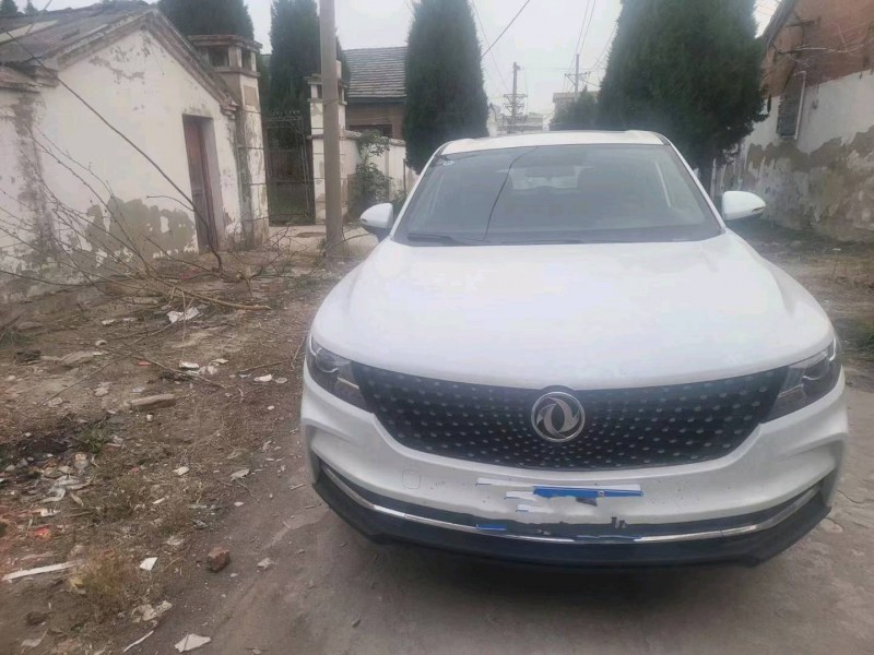 淮南23年东风风光1