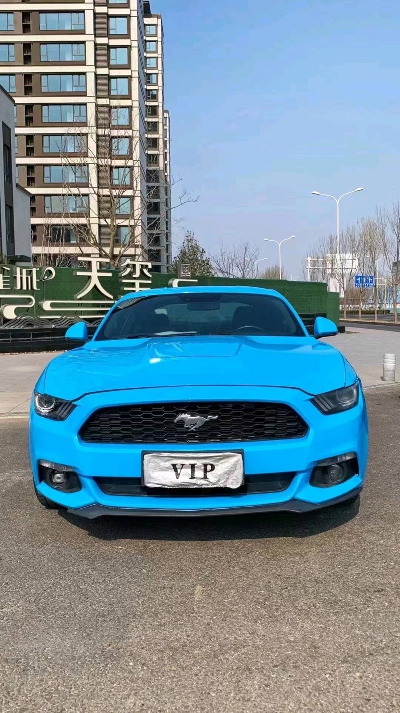 廊坊16年福特野马1