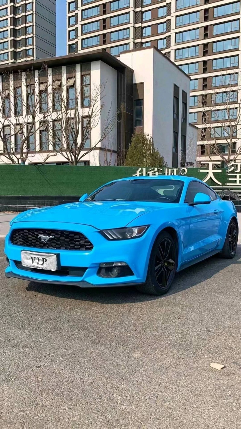 廊坊16年福特野马2