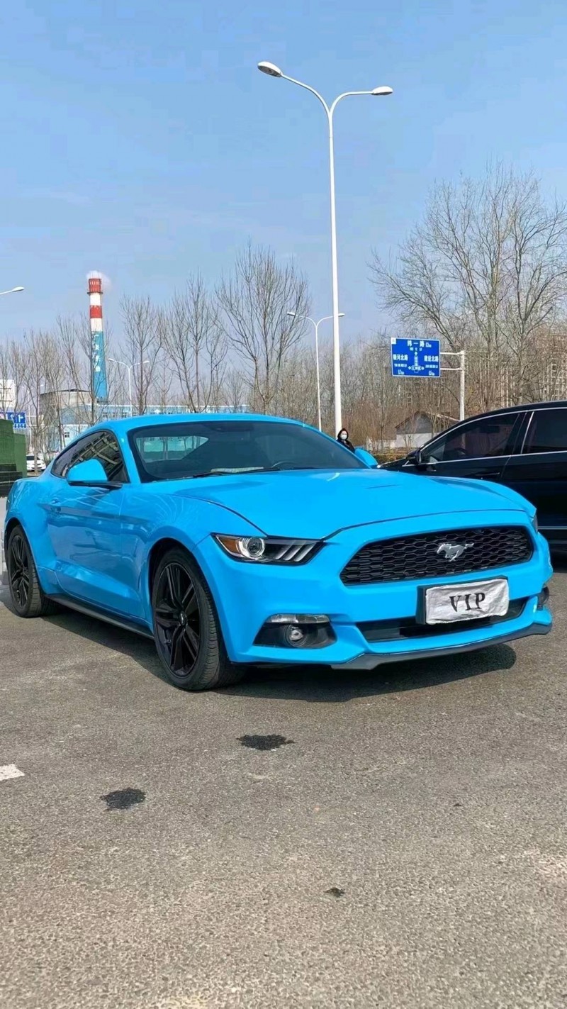 廊坊16年福特野马3