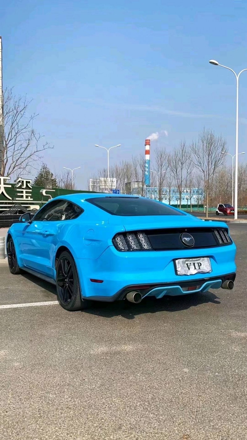 廊坊16年福特野马8