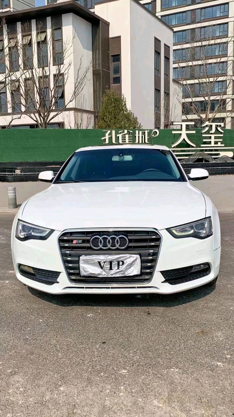 廊坊13年奥迪A51