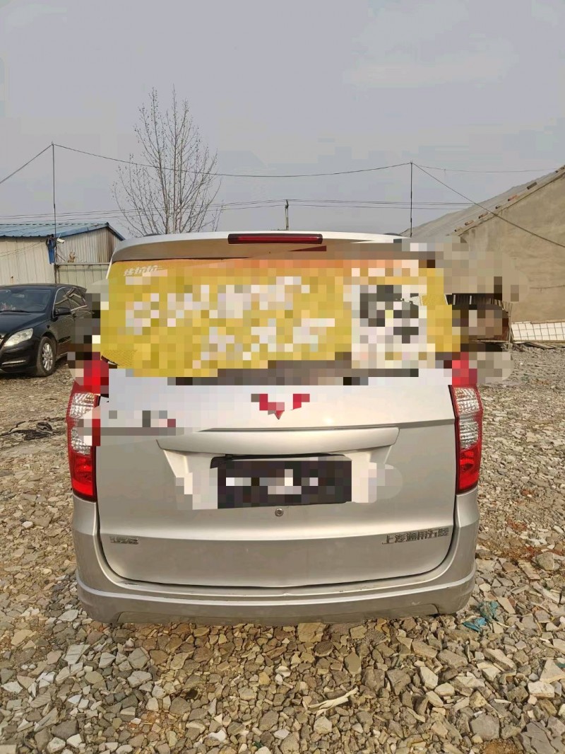 临沂19年五菱汽车宏光9