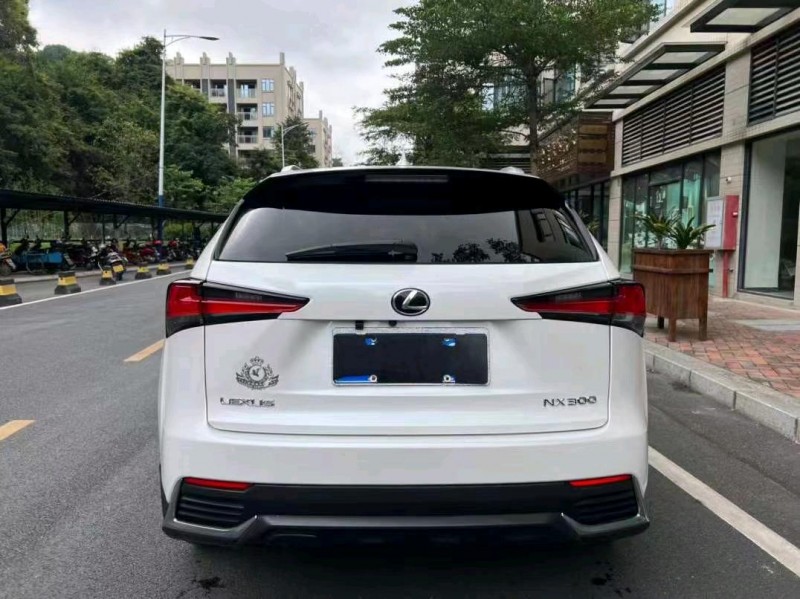 深圳18年雷克萨斯NX5