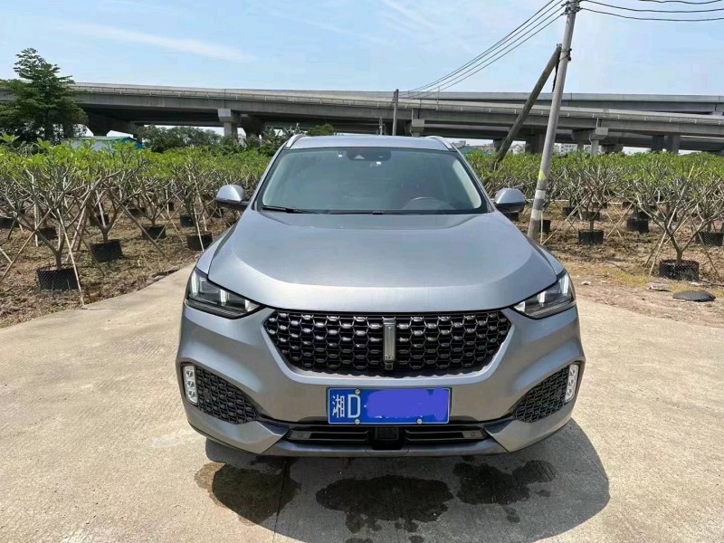 深圳20年长城汽车WEY VV61