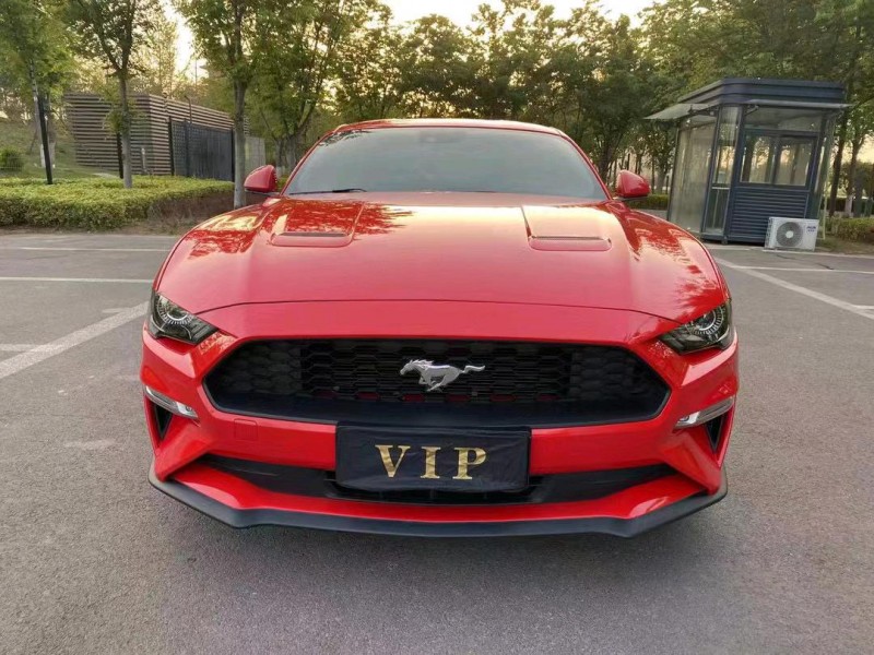 济宁19年福特野马1