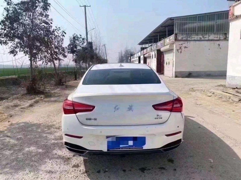 东营20年红旗H59
